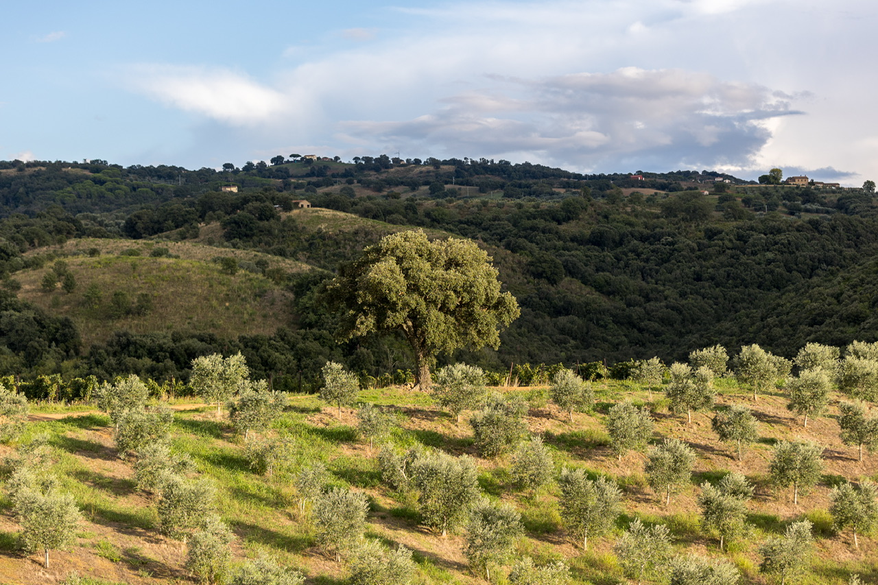Colli del Vento. Antonella e Antonio, gli immortali