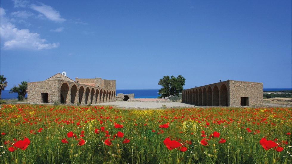 Il Cirò Classico è ora DOCG. La Calabria del vino festeggia con la decima edizione del Cirò Wine Festival