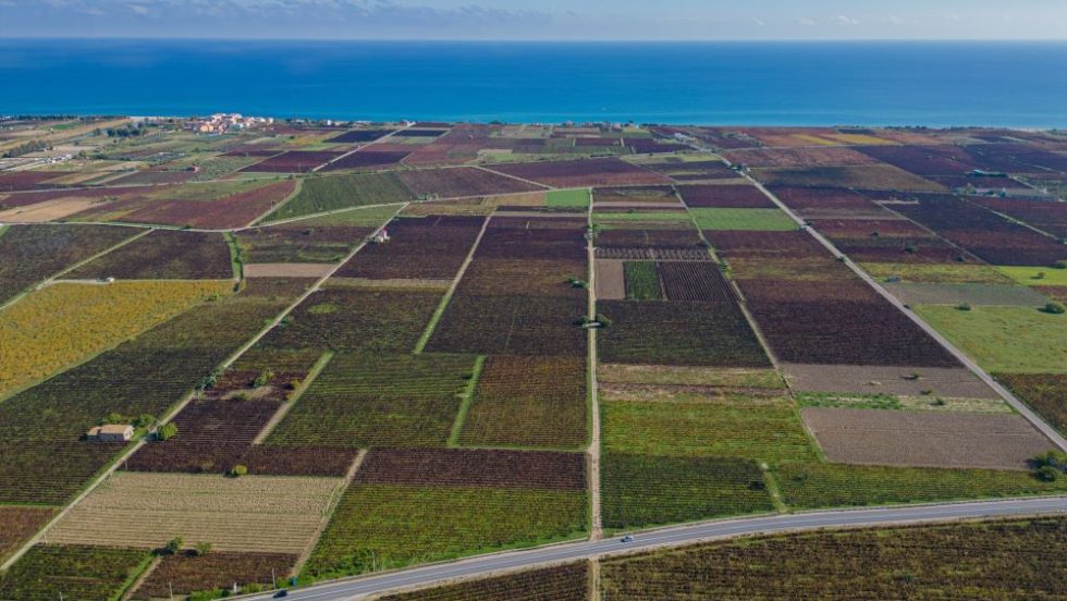Il Cirò Classico è ora DOCG: la Calabria del vino festeggia alla 10ª edizione del Cirò Wine Festival