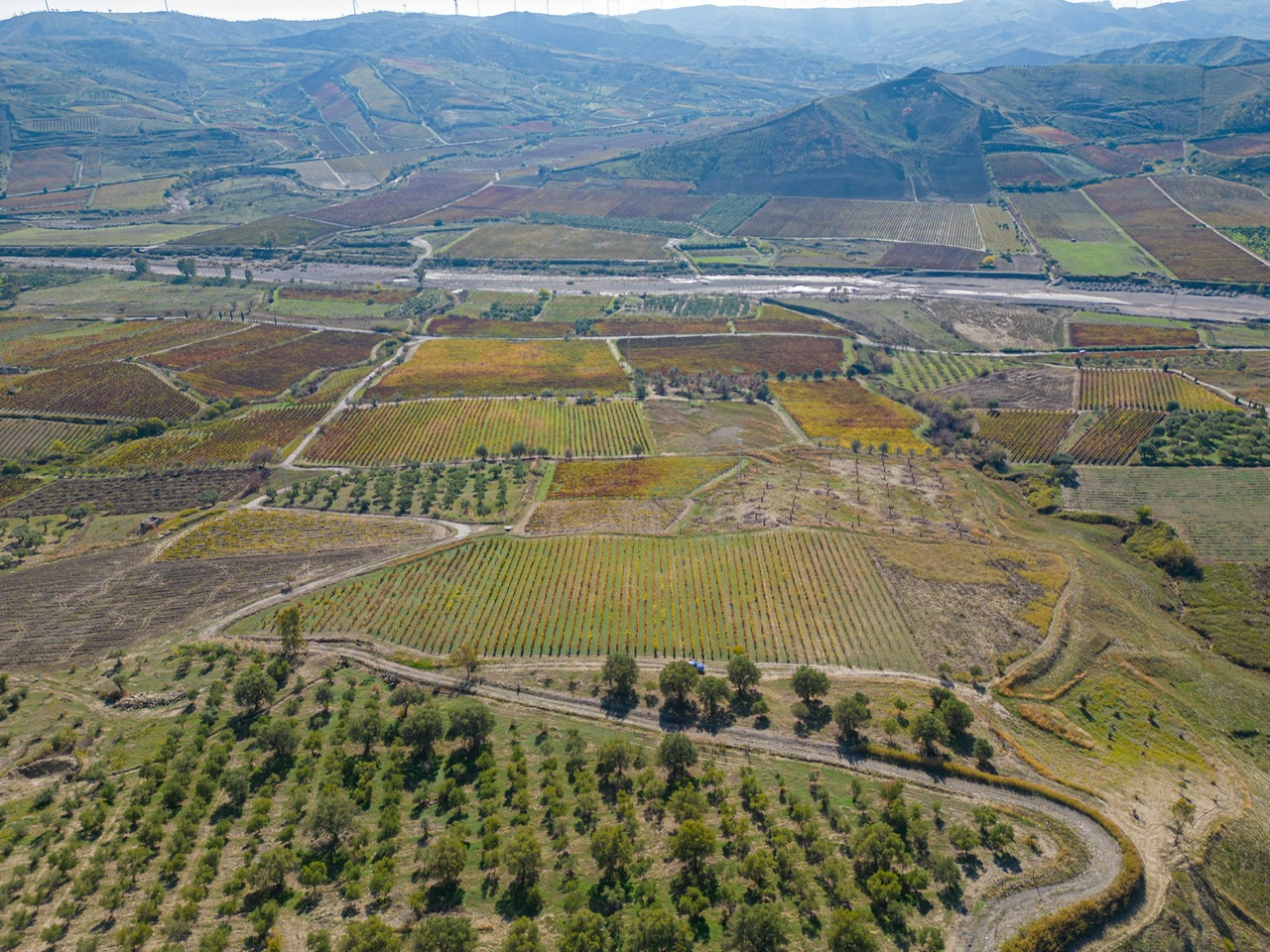 Cirò Wine Festival 2025. Si parte con gli eventi off