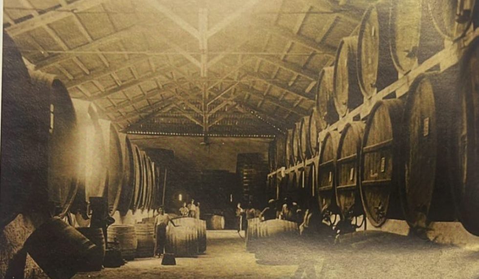 C'era una volta. Storia di un vino