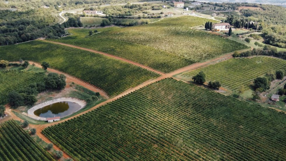 Cavazza celebra l’autunno con il Creari Gambellara Classico DOC