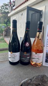 Summer Wine Time. ConFusioni sull'Etna
