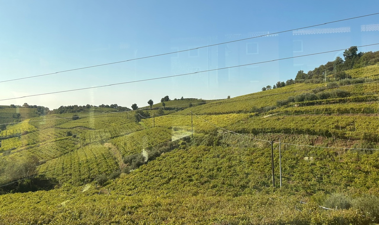 Suavia. Meri, Valentina, Alessandra: le principesse della vigna