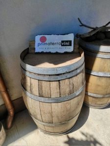 Summer Wine Time. ConFusioni sull'Etna