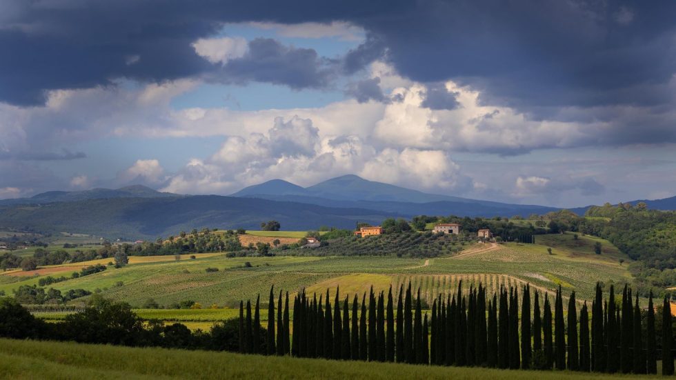 Nel territorio del Morellino di Scansano torna InGRAVEL Morellino: ciclismo e vino tra colline e natura
