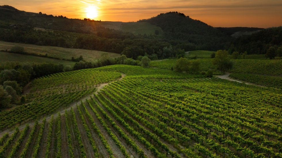 “Oltrepò: Terra di Pinot Nero”: il Blanc de noirs italiano che celebra 160 anni