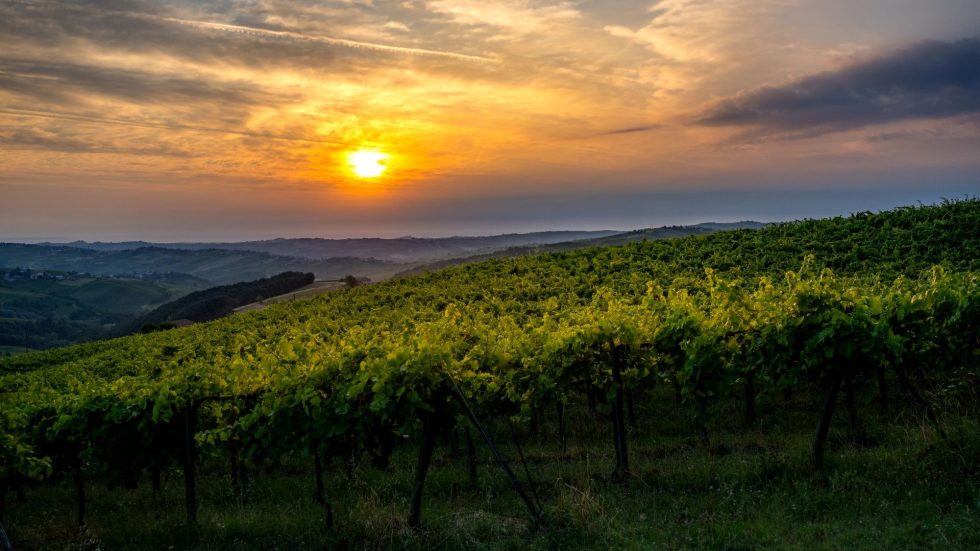 Oltrepò: Terra di Pinot Nero, 160 anni di Blanc de Noirs italiano