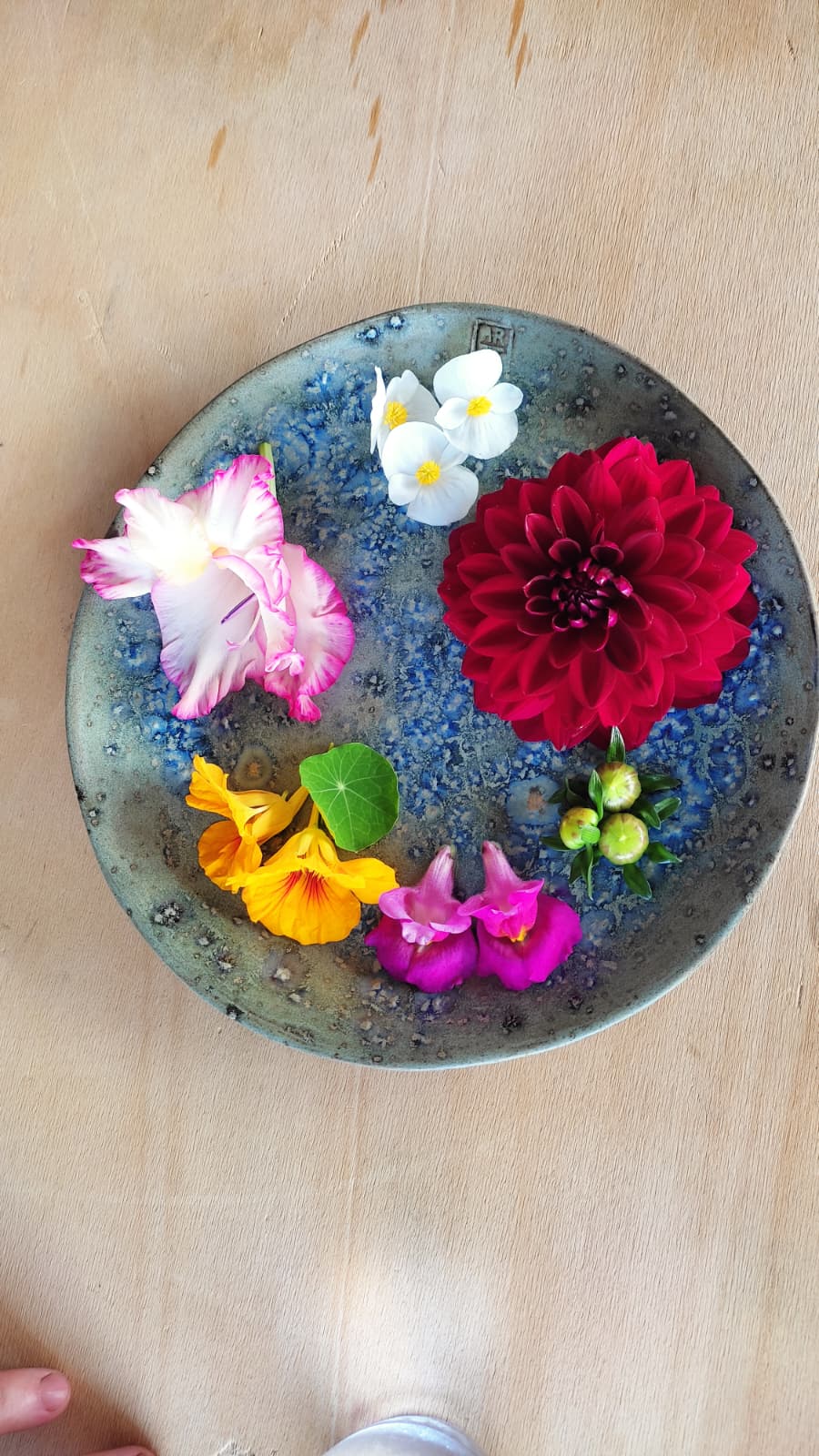 Nature Concrete. Il gusto sorprendente dei fiori eduli