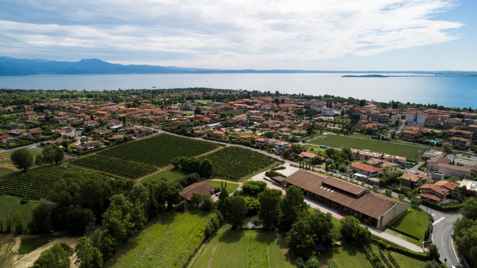 Vendemmia 2025: Costaripa, la gentilezza del tempo e del frutto