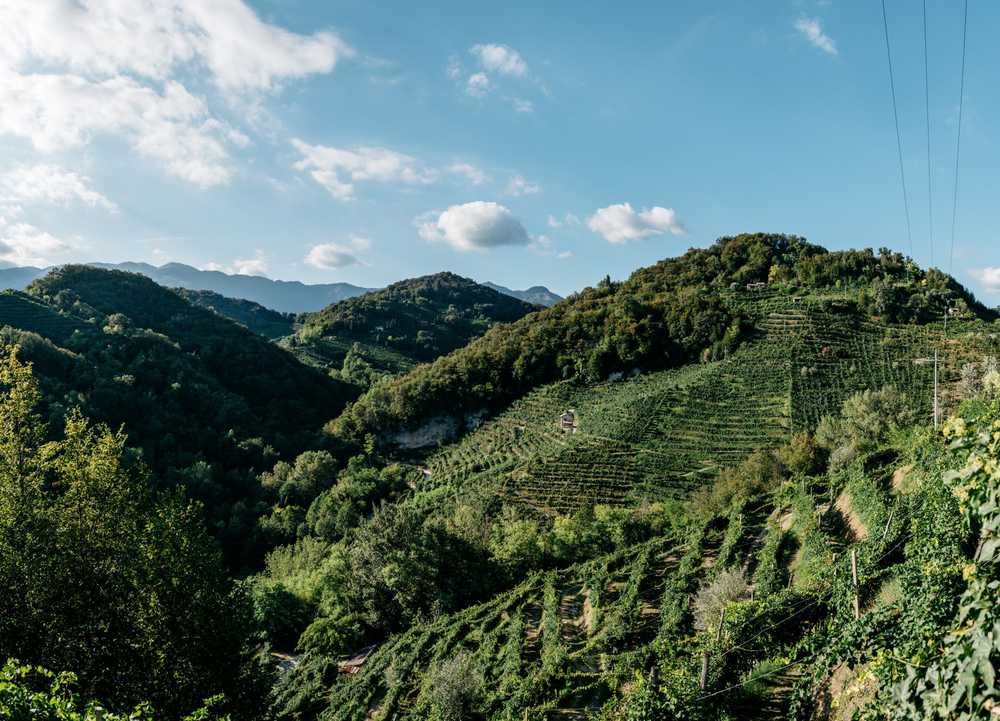 La Farra: il Valdobbiadene DOCG che nasce dall’autenticità e dai valori di famiglia