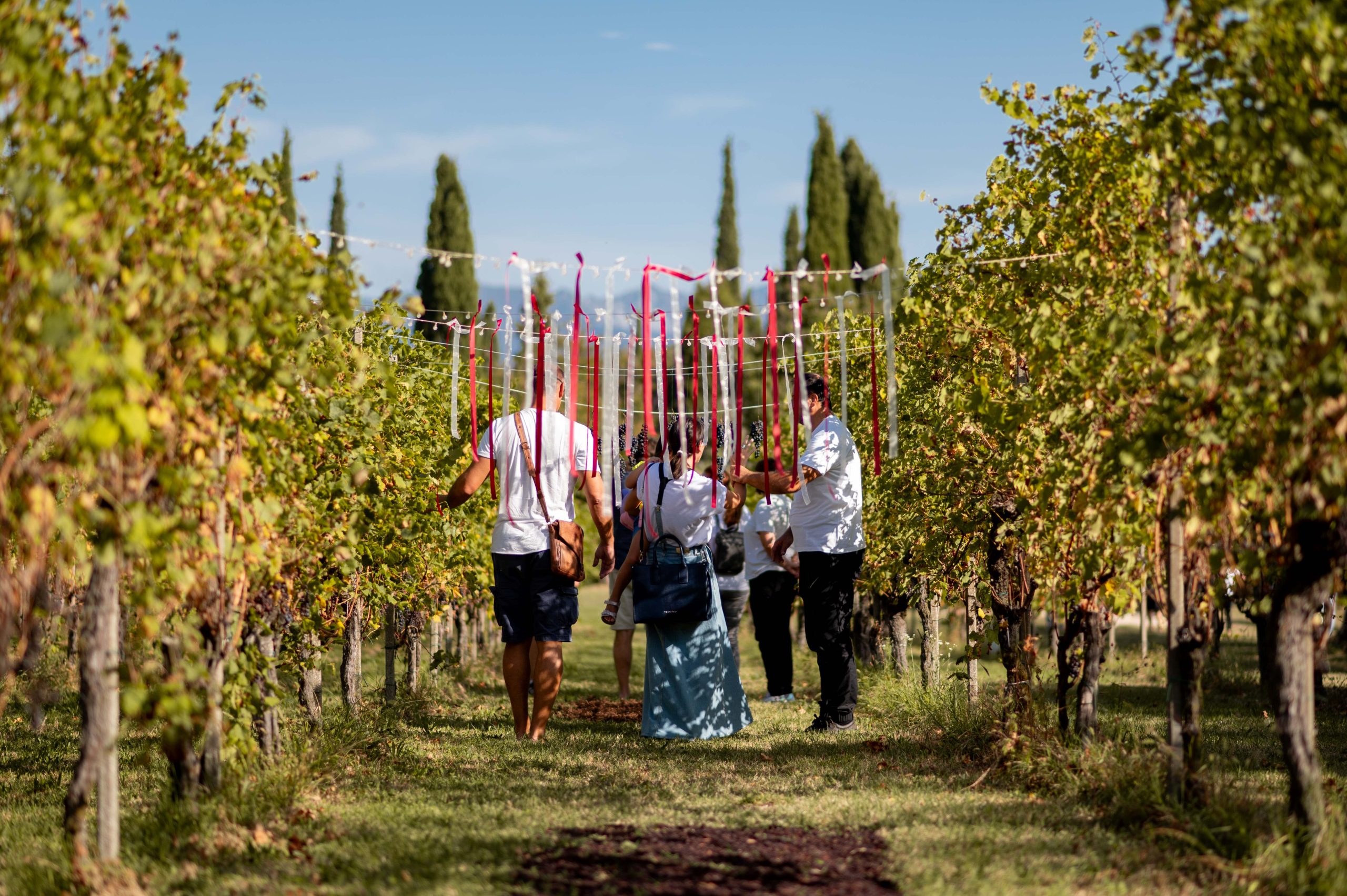 Grande successo per la quinta edizione dei Giardini della Casa del Vino: La Valtènesi celebra il premio Sante Bonomo