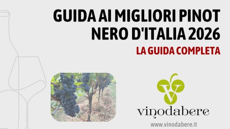 Online la Guida ai migliori Pinot Nero d’Italia 2026 di Vinodabere.it