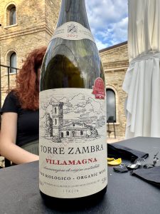 TORRE ZAMBRA