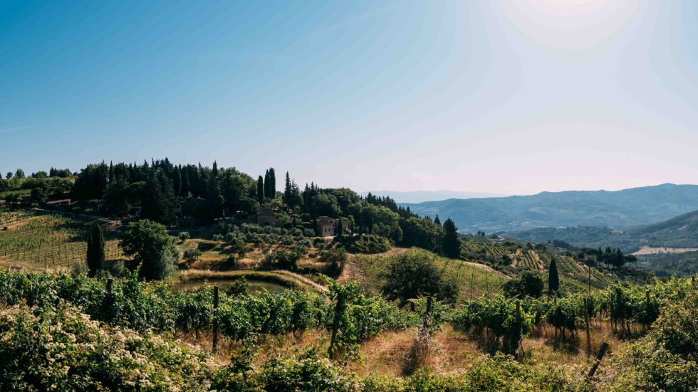 Vecchie Terre di Montefili: i riconoscimenti di Antonio Galloni premiano l’autenticità di un lavoro paziente in vigna