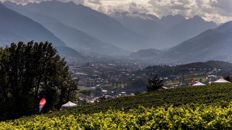 Vendemmia 2025 al via in Valle d’Aosta: riconoscimenti internazionali premiano l’eccellenza valdostana