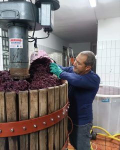 Eliseo Santoro. L’artigiano del vino