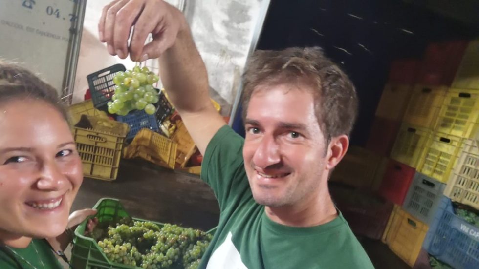 Luca e Giuliana. Non separi l’uomo ciò che la Falanghina unisce