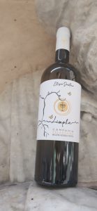 Eliseo Santoro. L’artigiano del vino