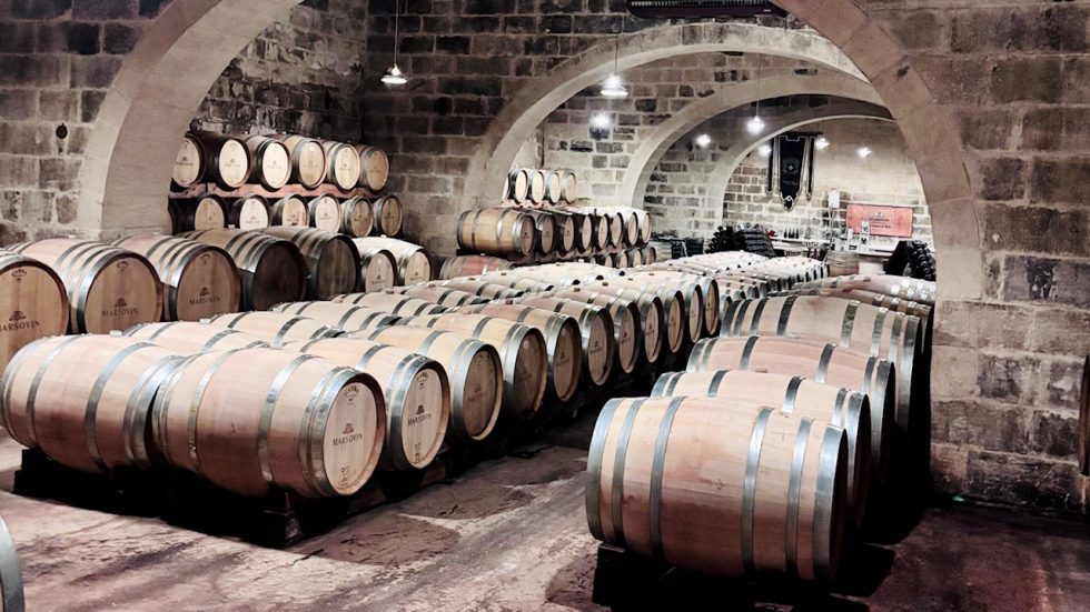 Marsovin Winery. Un viaggio nel cuore del vino maltese
