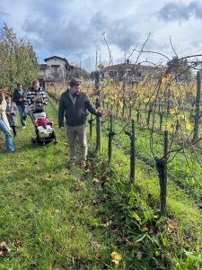Edi Keber. Il Rinascimento del Collio