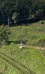 Edi Keber. Il Rinascimento del Collio