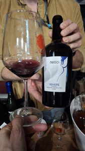 Facciamo “Due Passi in Vigna”