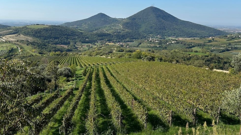 Vignalta. Lucio Gomerio, il demiurgo dei Colli Euganei