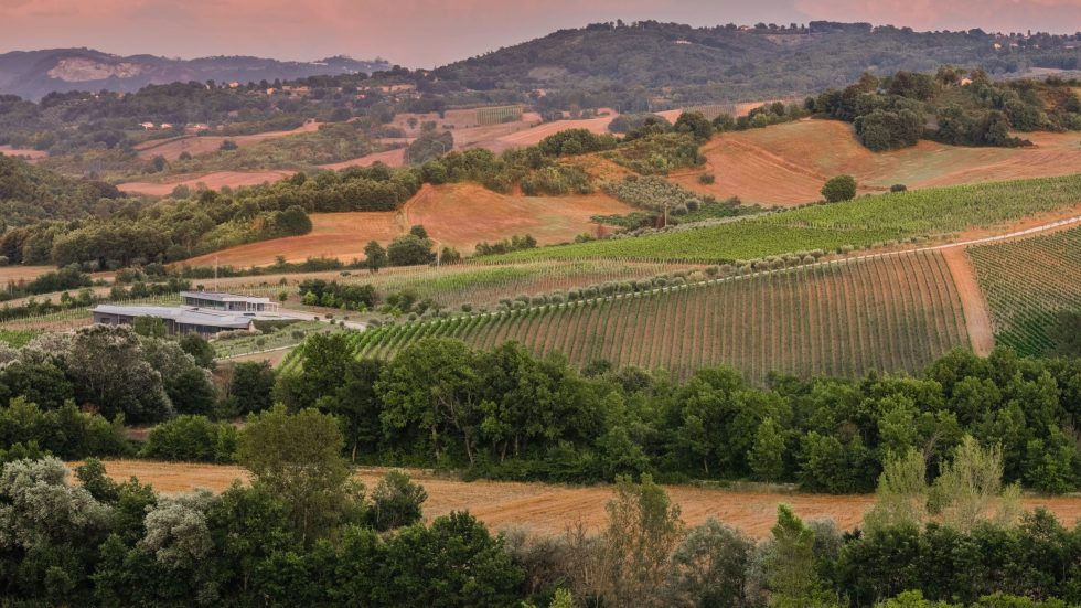 Nel cuore dell’Irpinia, l’azienda Fonzone Caccese produce vini sartoriali che raccontano il territorio ricercando l’eccellenza