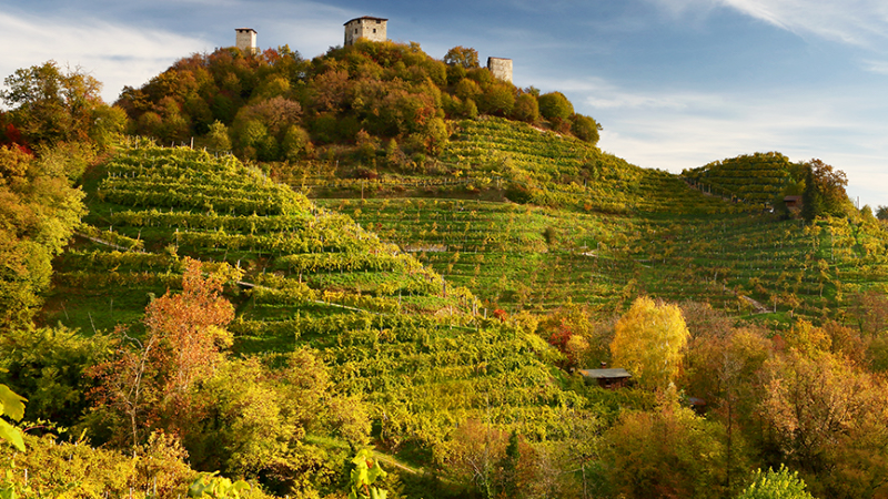 Follador Prosecco dal 1769: dodici anni al fianco della Fondazione Vialli e Mauro per la ricerca scientifica