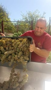 Eliseo Santoro. L’artigiano del vino