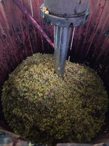 Eliseo Santoro. L’artigiano del vino