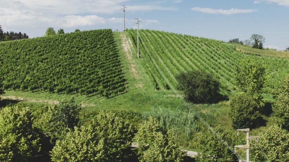 Il primo Nebbiolo Tre Bicchieri del Nord Astigiano: Serre di San Pietro Monferrato DOC Nebbiolo Superiore 2022 di Bava