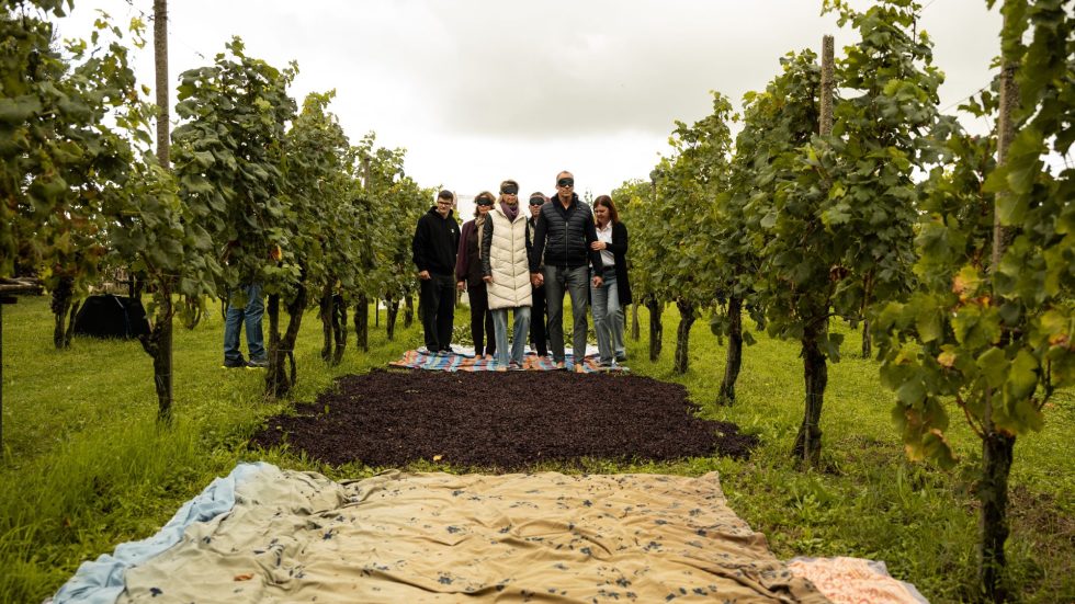 Alla Casa del Vino il gran finale di Profumi di Mosto: degustazione speciale il 19 ottobre