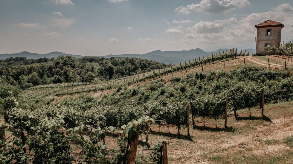 Il fascino dell’autunno incontra i grandi vini di Taste Alto Piemonte a Stresa