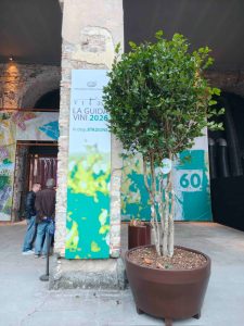 AIS Presenta Vitae 2026. Trionfo di Eccellenza e Passione
