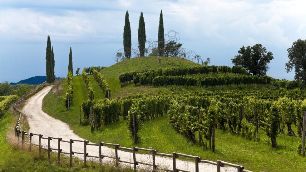 Arte e vino ridisegnano il paesaggio culturale italiano: a Verona il convegno scientifico nazionale di MetodoContemporaneo