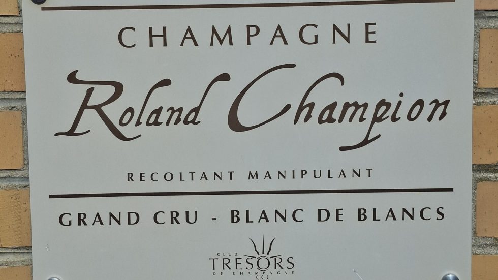 Chouilly, luce d’autunno nella Côte des Blancs