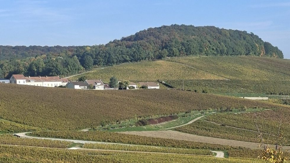 Cramant, purezza e accoglienza tra le vigne del Grand Cru, nel cuore della Côte des Blancs