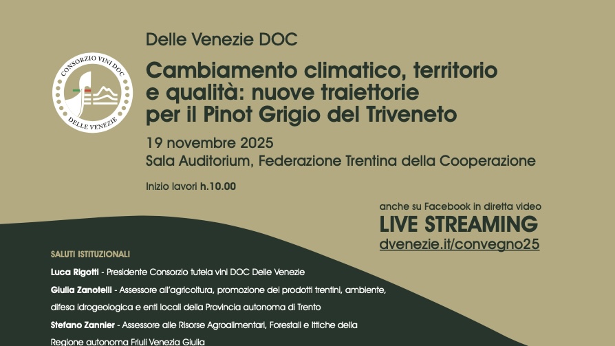 Cambiamento climatico, territorio e qualità: il Pinot Grigio DOC delle Venezie guarda al futuro