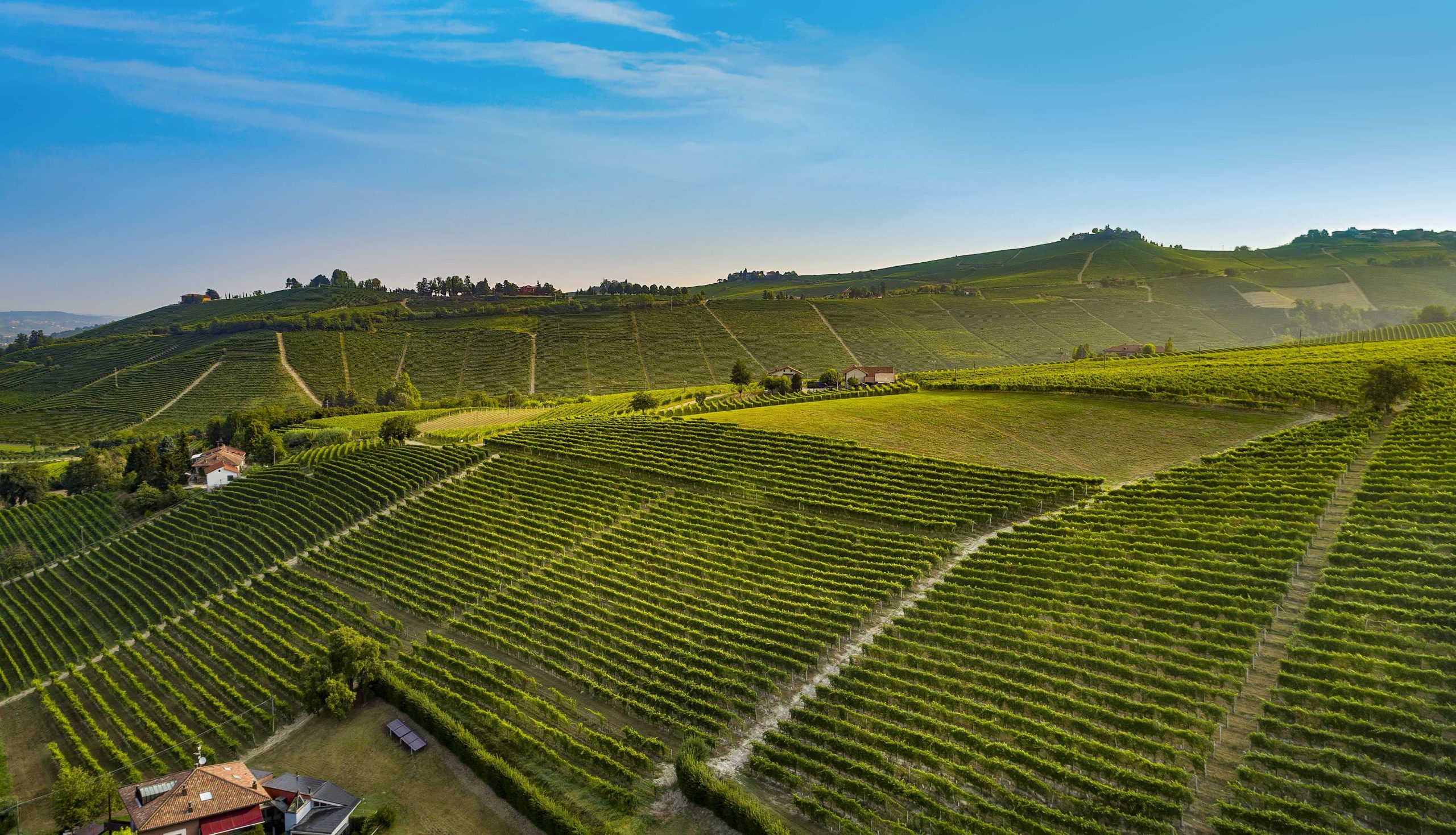 Piazzo Comm. Armando. Le Langhe a mucchietti