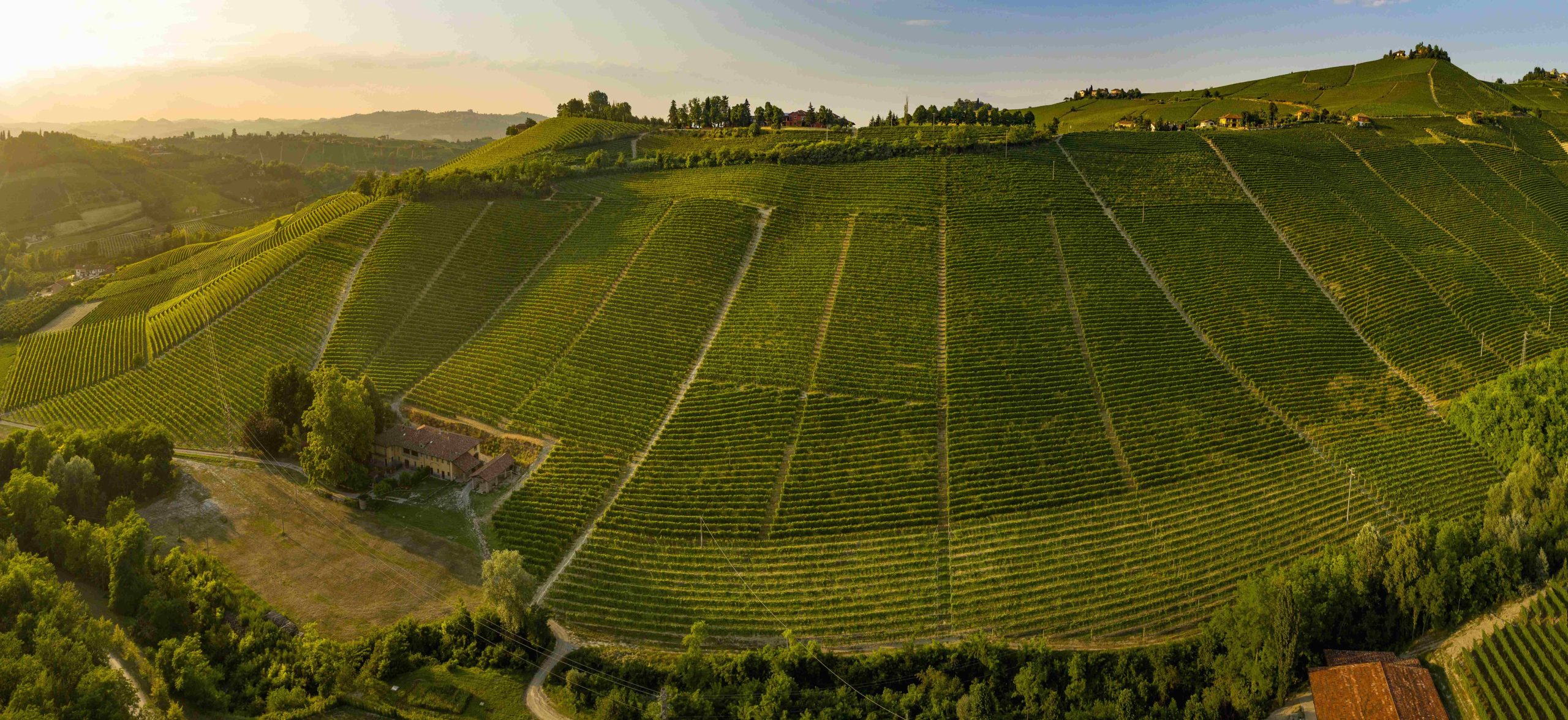 Piazzo Comm. Armando. Le Langhe a mucchietti