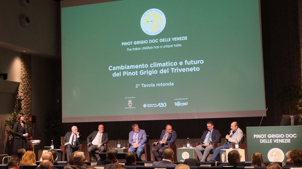 A Trento il Congresso DOC Delle Venezie traccia il futuro del Pinot Grigio tra clima, territorio e innovazione