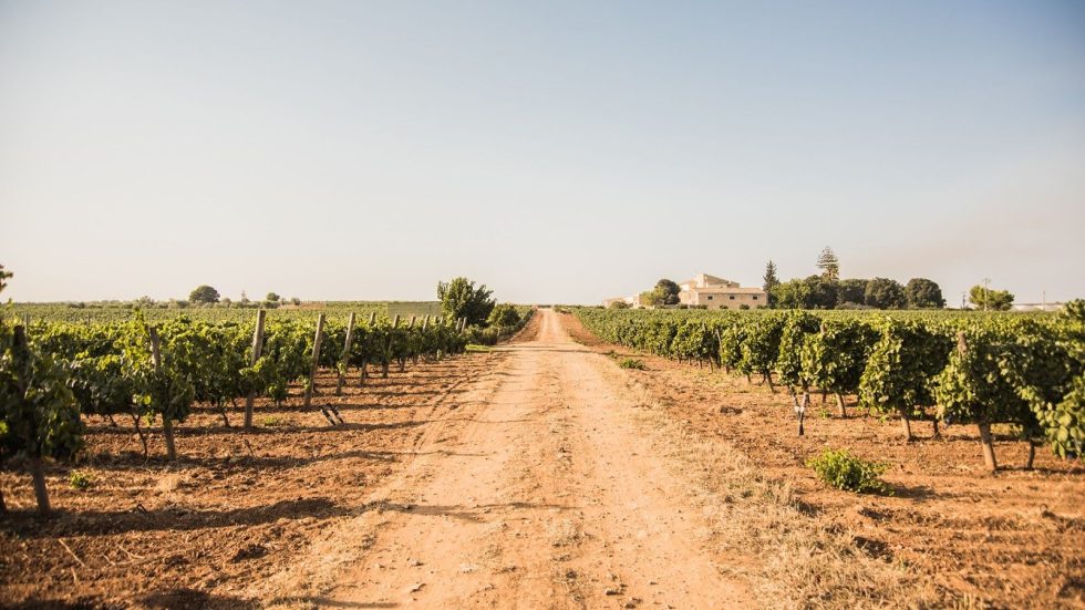“Stile Siciliano: i vini rossi del futuro”. A Milano l’evento dell’Enoteca Regionale della Sicilia sede del Sud Est