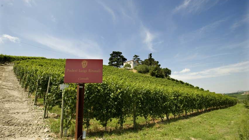 Poderi Luigi Einaudi – Vendemmia 2025: annata anticipata, eccellente qualità e rese contenute per vini di grande struttura ed equilibrio