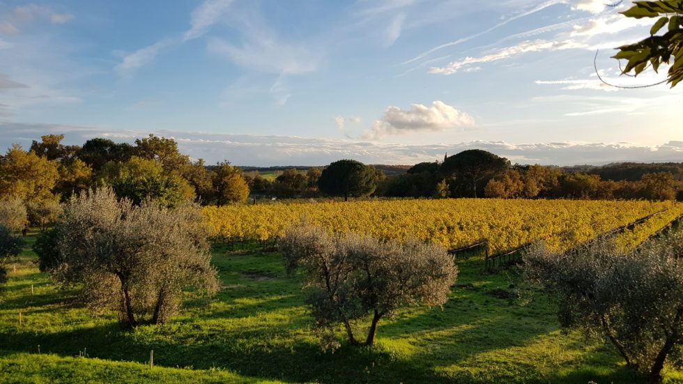 I vini dolci umbri protagonisti delle feste firmate Umbria Top