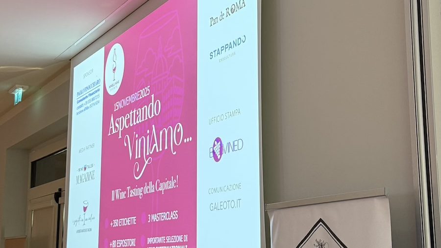 ASPETTANDO VINIAMO 2025. Molto più che un semplice "ingannare l'attesa".