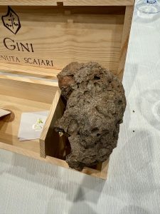 LIFE OF WINE 2026. Il vino alla prova del tempo.