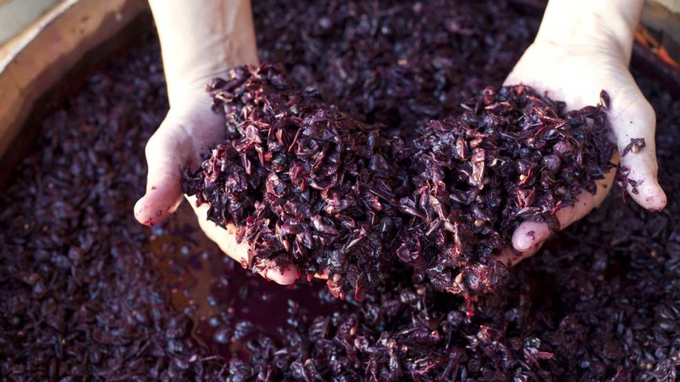 Merlot Vistorta: l’eccellenza friulana per le feste natalizie 2025