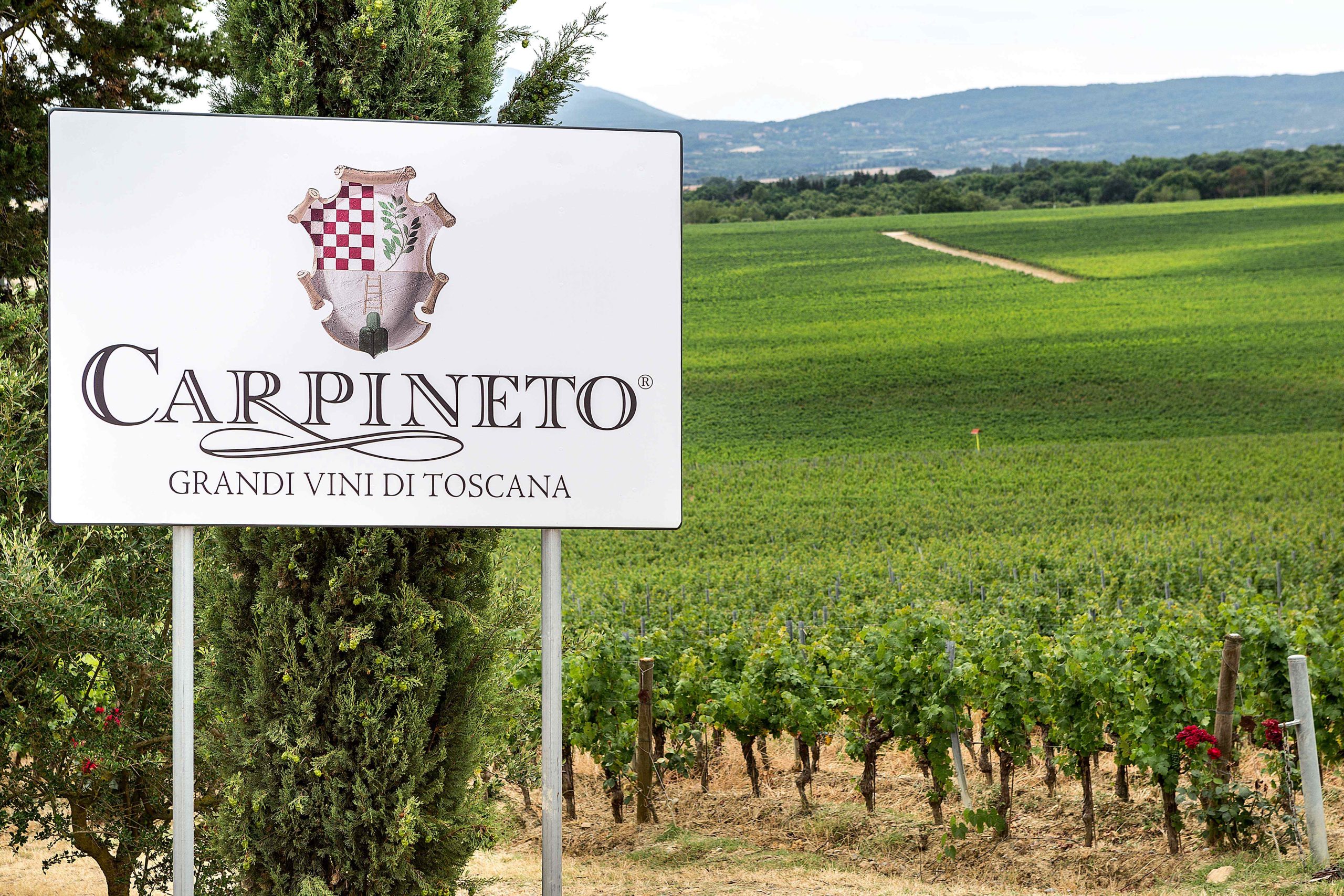 Anton Robert Zaccheo. Carpineto sarà in buone mani